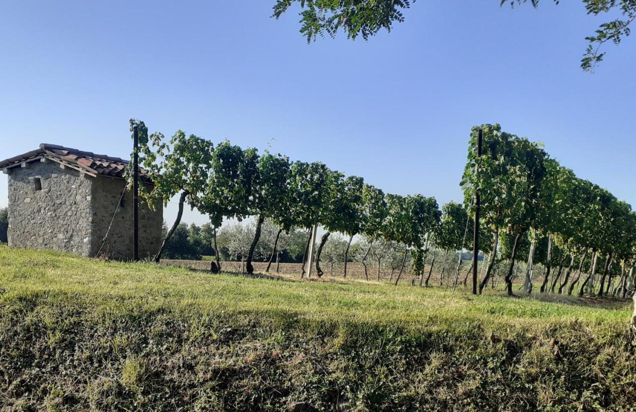 Vicolo Del Nido B&B Paderno Franciacorta 외부 사진