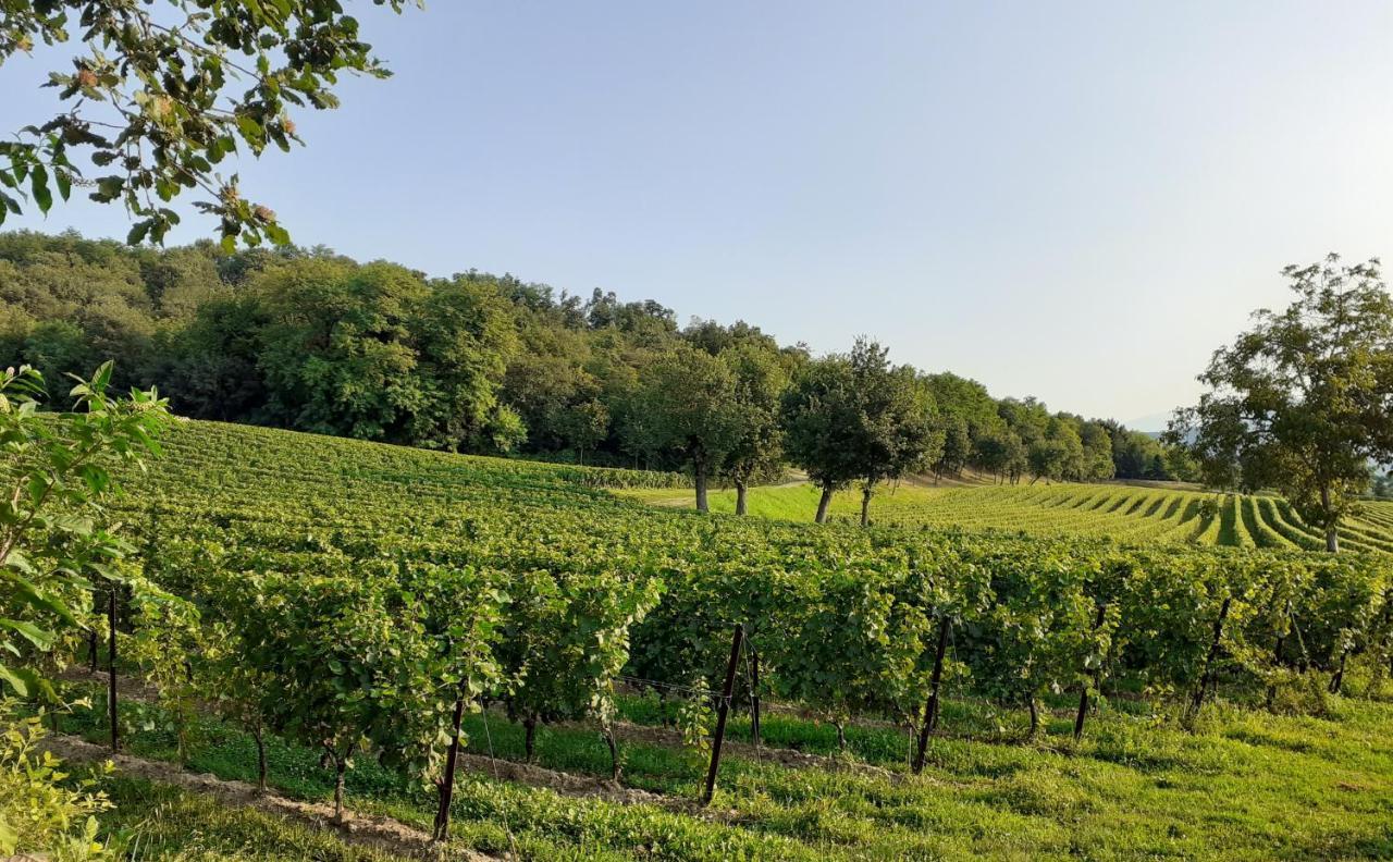 Vicolo Del Nido B&B Paderno Franciacorta 외부 사진