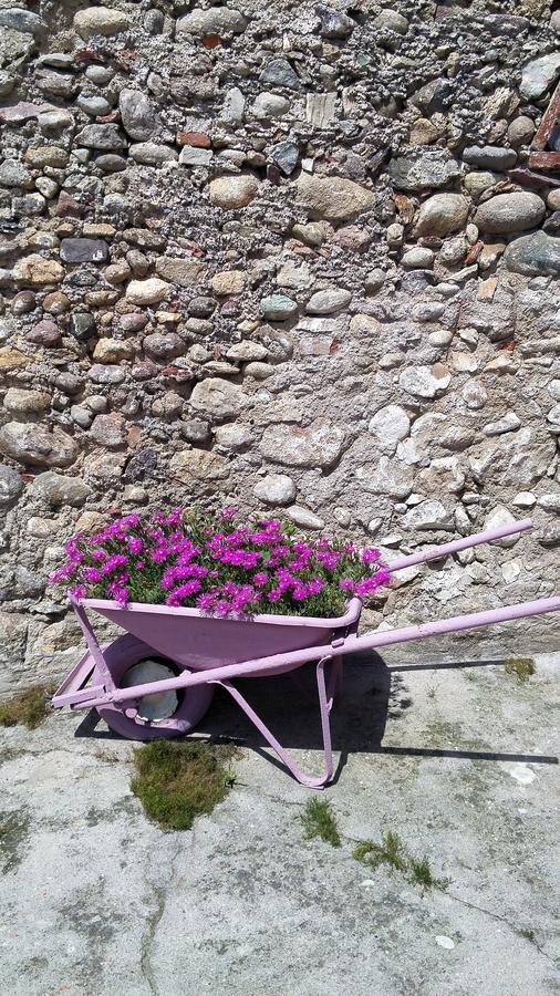 Vicolo Del Nido B&B Paderno Franciacorta 외부 사진
